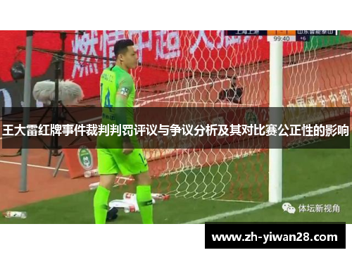 王大雷红牌事件裁判判罚评议与争议分析及其对比赛公正性的影响