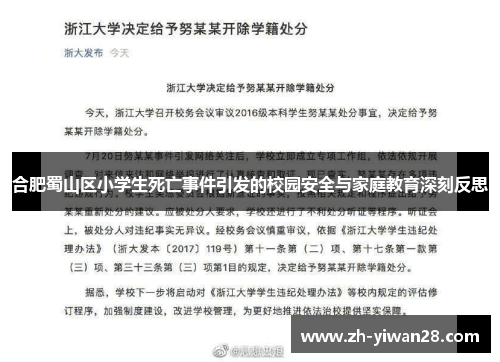 合肥蜀山区小学生死亡事件引发的校园安全与家庭教育深刻反思