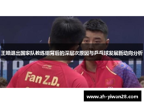 王皓退出国家队教练组背后的深层次原因与乒乓球发展新动向分析