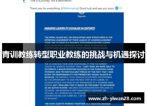 青训教练转型职业教练的挑战与机遇探讨