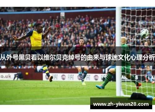 从外号黑贝看以维尔贝克绰号的由来与球迷文化心理分析 从外号黑贝看以维尔贝克绰号的由来与球迷文化心理分析
