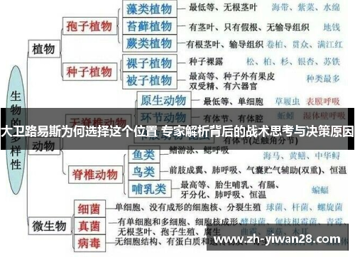 大卫路易斯为何选择这个位置 专家解析背后的战术思考与决策原因