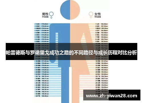 帕雷德斯与罗德里戈成功之路的不同路径与成长历程对比分析